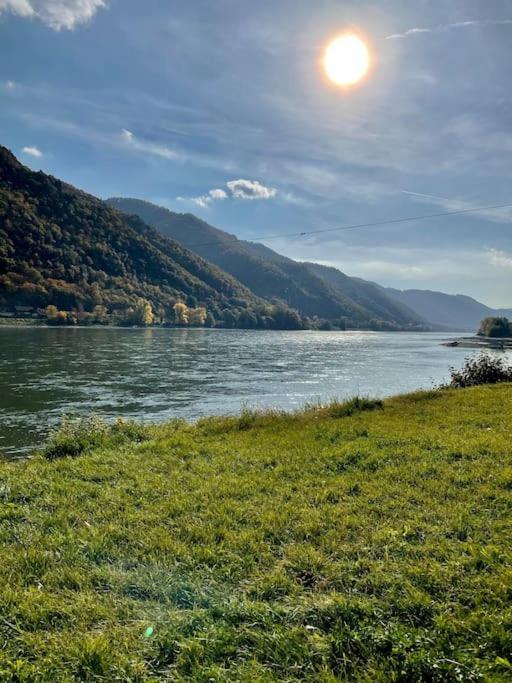Апартаменты Haus-Donau In Der Wachau Аггсбах Экстерьер фото