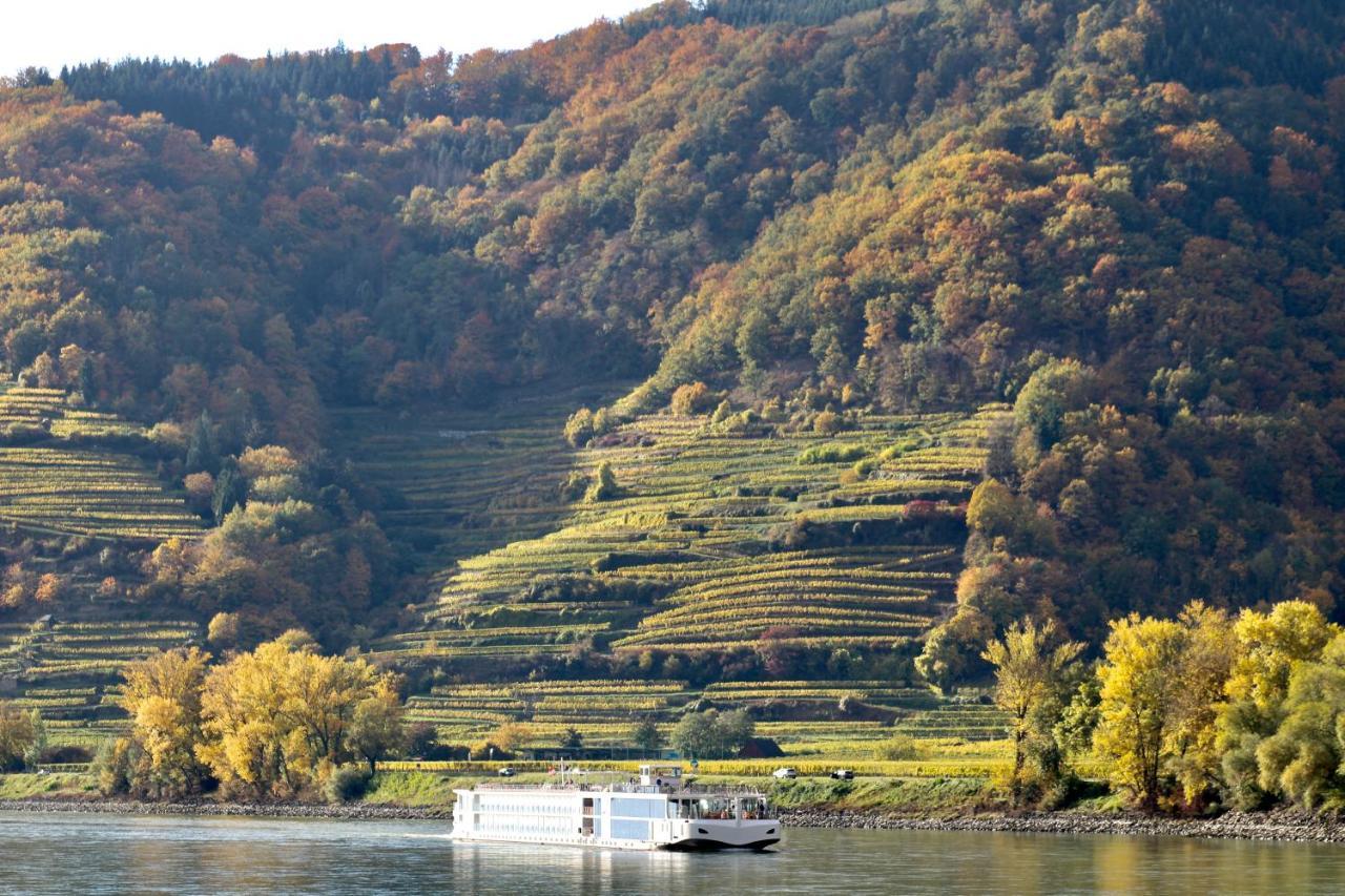 Апартаменты Haus-Donau In Der Wachau Аггсбах Экстерьер фото